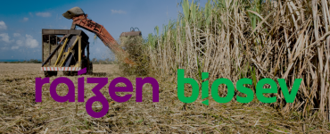 raizen biosev sugar biofuels 1