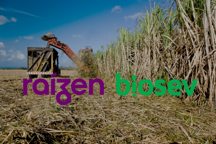 raizen biosev sugar biofuels 1