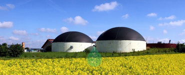 biogas plant market