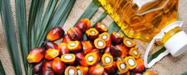 malaysia palm oil biofuels