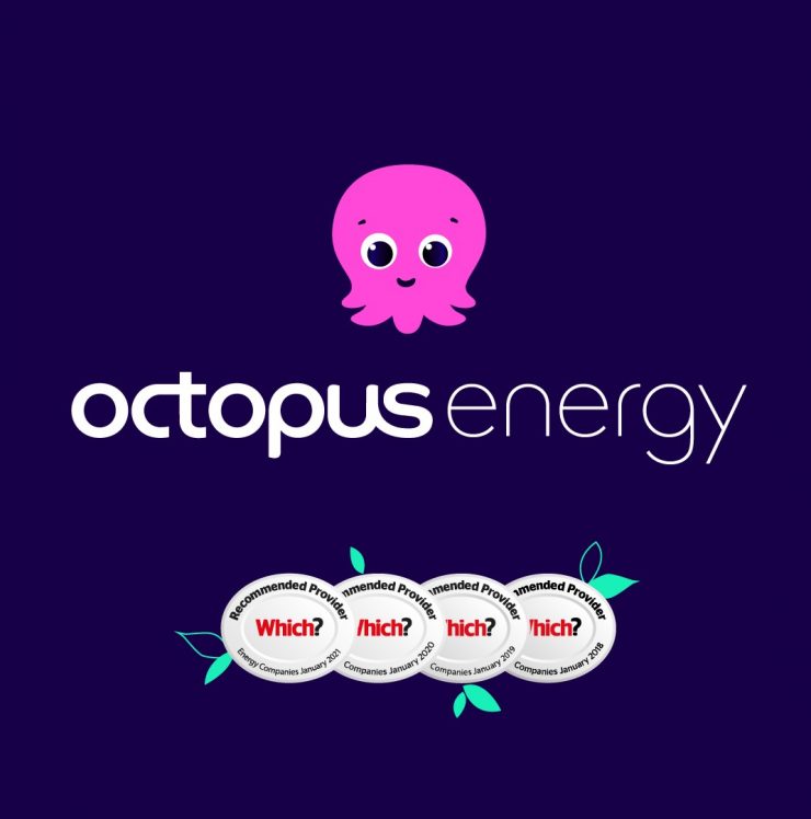 octopus renewables biomass plants