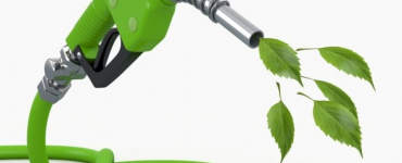 bioethanol production biofuels market