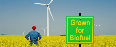 S&P Global Platts biofuels prices