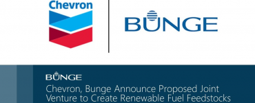 chevron bunge renewable fuel feedstocks