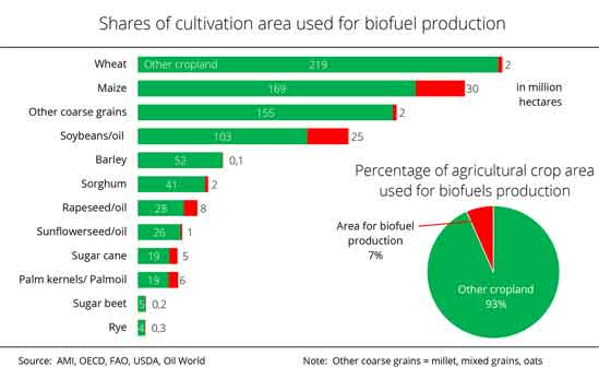 biofuels production crops