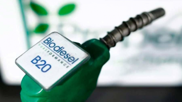 biodiesel market cagr
