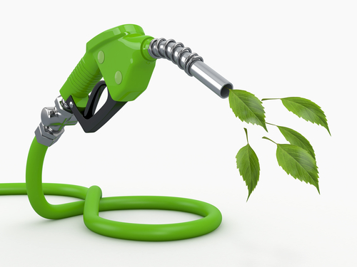 national biodiesel day