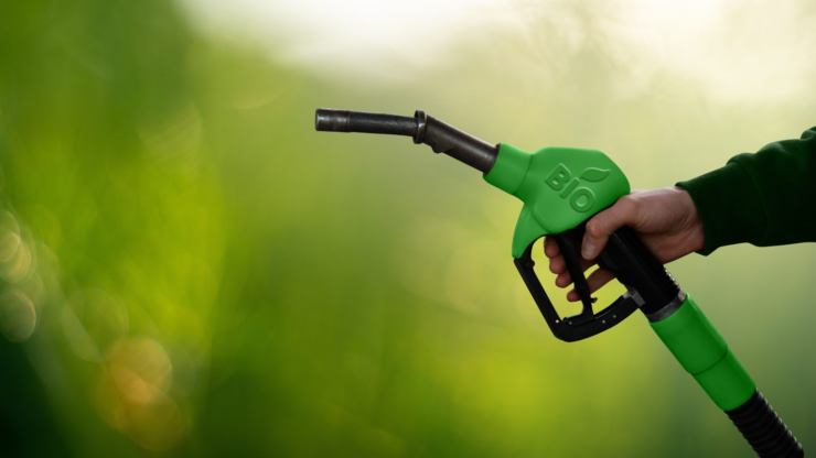 biodiesel cheap eu china
